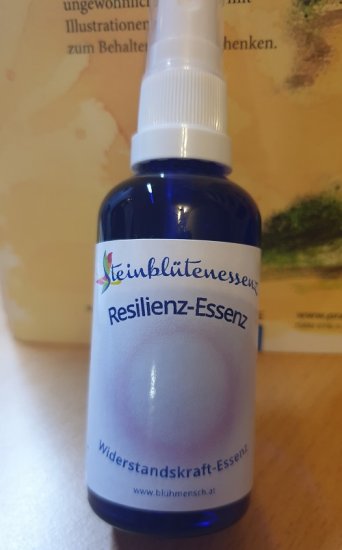 You are currently viewing Steinblütenessenz -RESILIENZ-Essenz